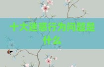 十大迷惑行为问题是什么