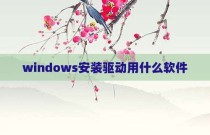 windows安装驱动用什么软件