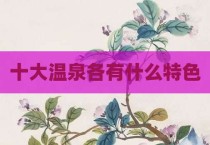 十大温泉各有什么特色