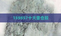159857十大重仓股