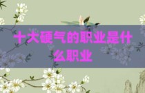 十大硬气的职业是什么职业