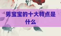 男宝宝的十大特点是什么
