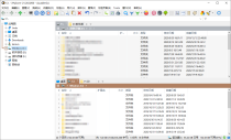 XYplorer v28.00.0800 绿色便携版