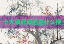 十大致死原因是什么梗