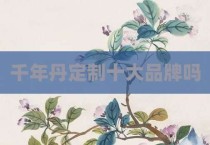 千年丹定制十大品牌吗