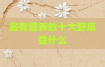 最有营养的十大野菜是什么