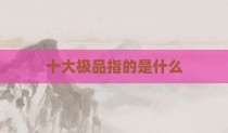十大极品指的是什么