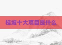 桂城十大项目是什么