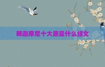 释迦摩尼十大愿是什么经文
