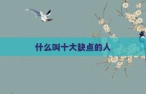 什么叫十大缺点的人