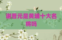 谢晋元是黄埔十大名将吗