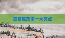 放管服改革十大亮点