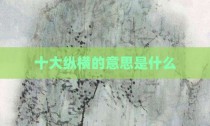 十大纵横的意思是什么