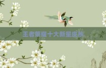 王者荣耀十大新星皮肤