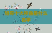 旭哥十大神曲是什么名字