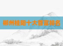 郴州桂阳十大首富排名