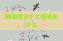 美国商业十大骗局是什么