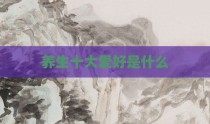 养生十大爱好是什么