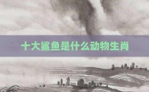十大鲨鱼是什么动物生肖