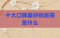 十大口碑最好的岩茶是什么