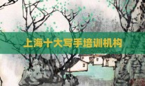上海十大写手培训机构