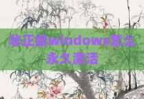 非正版windows怎么永久激活