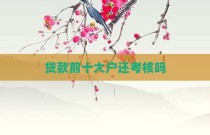 贷款前十大户还考核吗