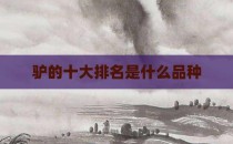 驴的十大排名是什么品种