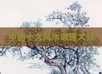 中国十大风水命理大师
