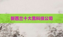 新西兰十大黑科技公司