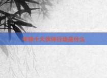 中非十大伙伴行动是什么