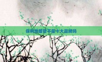保利地暖管不是十大品牌吗