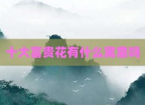 十大富贵花有什么寓意吗