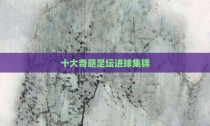 十大奇葩足坛进球集锦