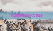 品牌褥疮垫十大名牌