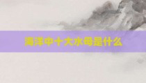 海洋中十大水母是什么
