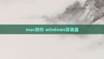 mac制作 windows安装盘