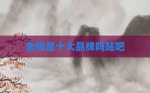 忠恒是十大品牌吗贴吧