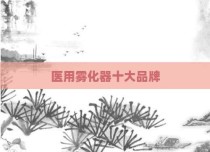 医用雾化器十大品牌