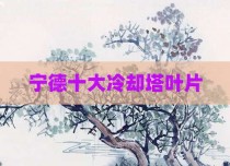 宁德十大冷却塔叶片