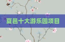 夏邑十大游乐园项目