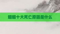 蝈蝈十大死亡原因是什么