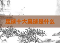 足球十大臭球是什么