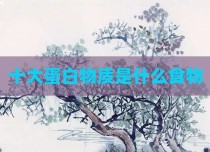 十大蛋白物质是什么食物