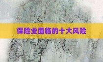 保险业面临的十大风险