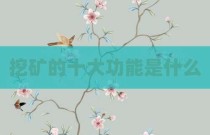挖矿的十大功能是什么