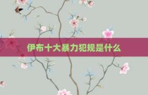 伊布十大暴力犯规是什么