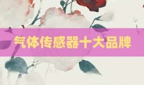 气体传感器十大品牌