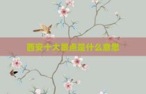 西安十大景点是什么意思