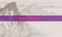 教师十大美颜小作文